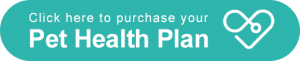 Pet Health Plan Carmarthen