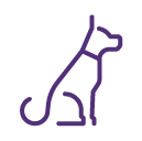 Anal Gland Expression